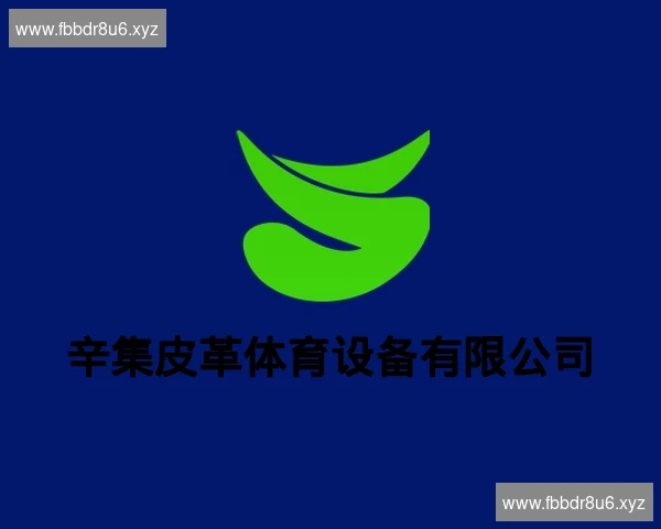 辛集皮革体育设备有限公司