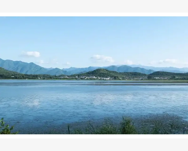 给肝脏补血的食物推荐，打造健康生活新方式！